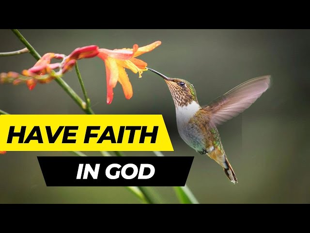 English : HAVE FAITH IN GOD