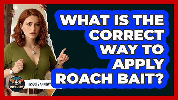 What Is The Correct Way To Apply Roach Bait?
