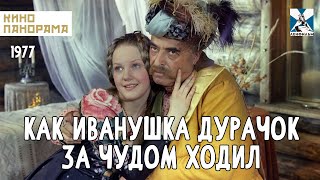 Как Иванушка-дурачок за чудом ходил (1977 год) семейный
