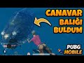 CANAVAR BALIĞI BULDUM | OYUNA BARAJ GELDİ | CANAVAR BALIK NEREDE | PUBG Mobile 1.1 GÜNCELLEMESİ