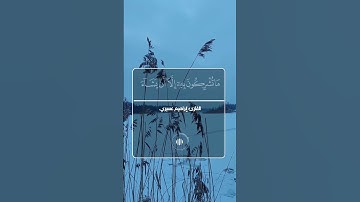 إني وجهت وجهي للذي فطر السموات والأرض II القارئ إبراهيم عسيري II ستوريات قرآنيية