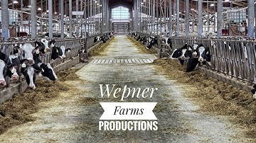 FULL Farm And Machinery Tour of a FAMILY Run Dairy, Beff, And Cashcrop Operation!