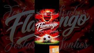 #musica #flamengo #rubronegro #brasil #brasileirão