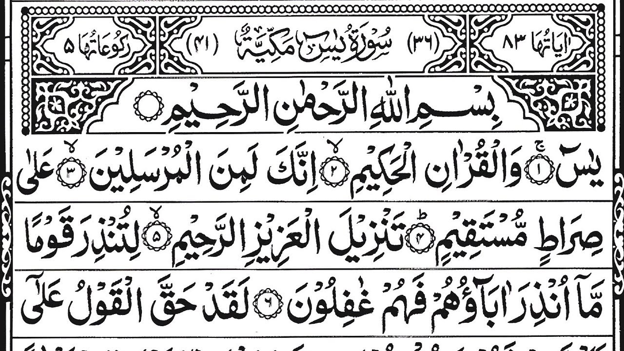 Surah Yasin Rahman Waqiah Tilawat - Daily Quran Episode 636