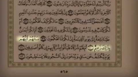 سوره القلم للشيخ سلمان العتيبي