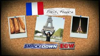 WWE Superstars go on international tours.