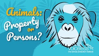 Animals: Property or Persons? This 6-minute animated video introduces students to the concept of legal personhood, and its potential application to animals., From YouTubeVideos