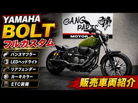 Super Slick] How about this perfectly customized BOLT? Sales