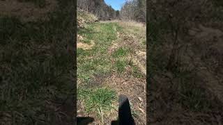 A Bumpy Road (Part 2) || Cajun Productions