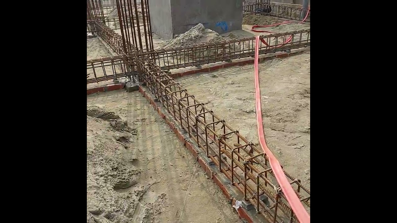 டன்கி Dunki Tamil Full Movie Vikrant Massey Sayli Salunkhe Shahid Kapoor Mohak Matkar #BhavaniHDMov