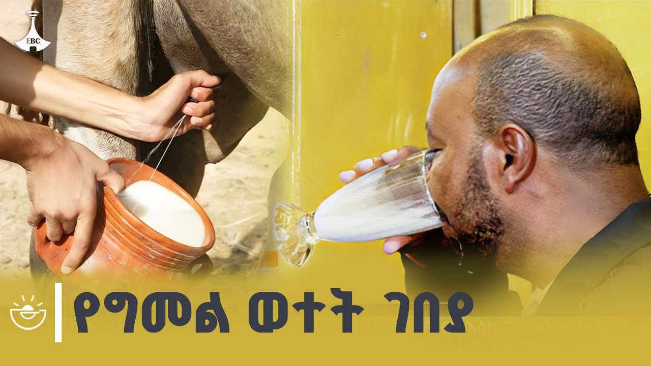 የግመል ወተት ገበያ  በአዲስ አበባ  ETV | EBC | EBCDOTSTREAM
