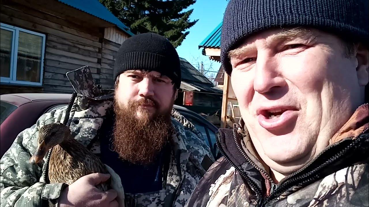 Вызаривание подсадных уток. Ногавка для подсадной утки, изготовление ...