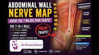 Stop Nerve Injuries! Mastering Abdominal waal nerve Anatomy for Surgery