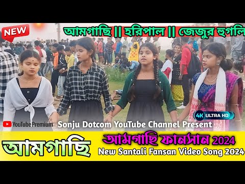 Amgachia fansan 2024 || আমগাছি ফানসান 2024 || Sumita Saren || New Santali Fansan Video Song