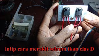 Intip cara merakit setrum ikan clas D setrum ikan elektronik sekali noton langsung pintar