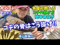 【コチの捌き方】【簡単な骨の抜き方】魚屋が教える簡単なマゴチの捌き方♪🐟