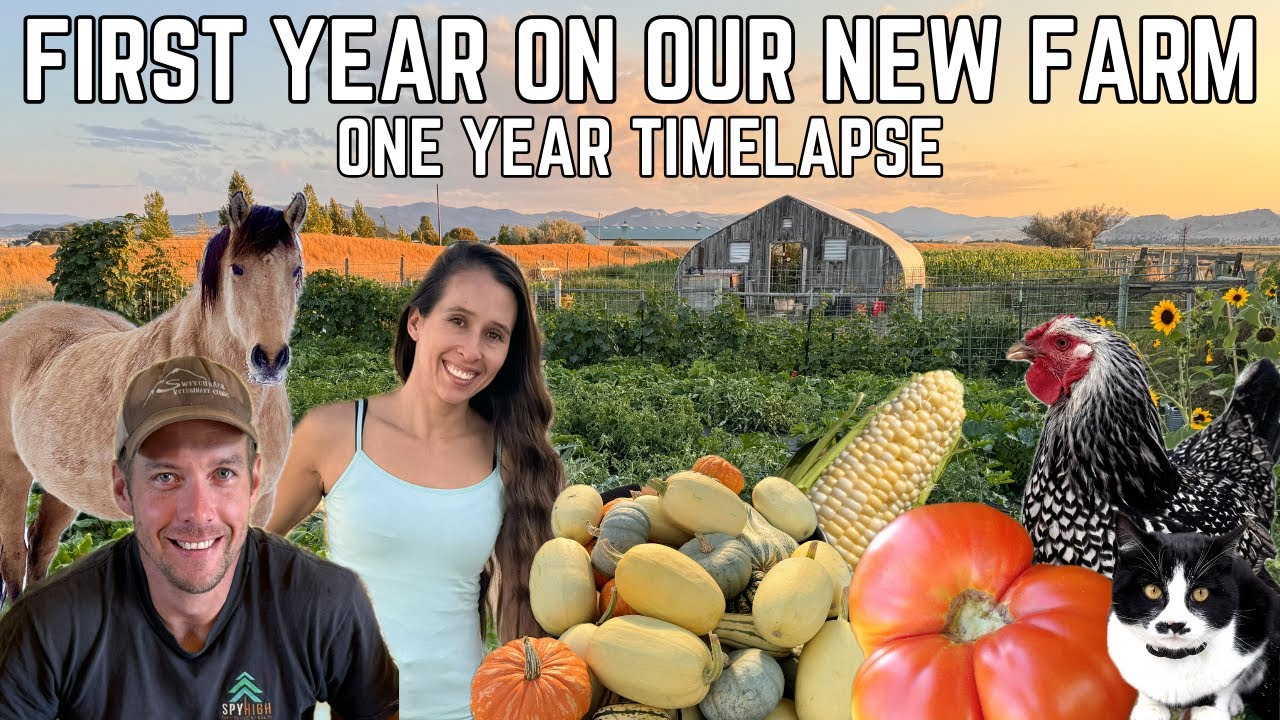 1 Year Timelapse: First Year On Our New Farm Recap - YouTube