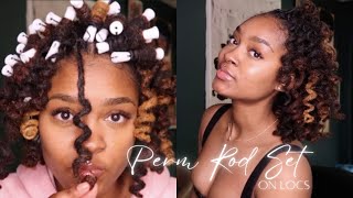 TRYING PERM RODS ON MY LOCS FOR THE FIRST TIME! | Chit-Chat ❤️
