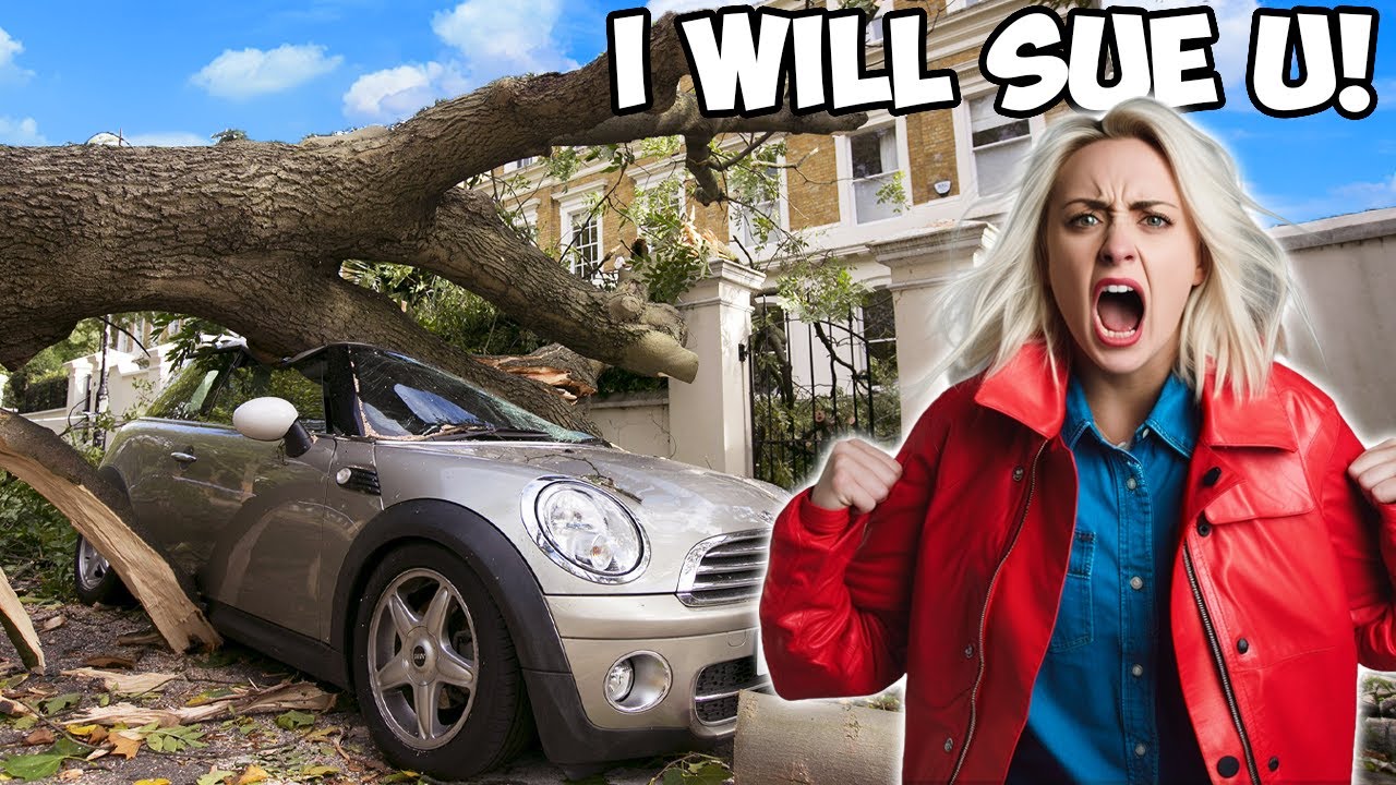 Karen Cut Down $185,000 Tree On My Property, SUES Me When It Destroys Her Car!