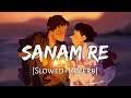 Sanam Re [Slowed+Reverb] - Arijit Singh | Lofi Songs | Textaudio | Lofi Music Channel