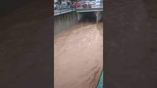 Çok Yağmur Yağdı,Dere Bayağı Şiddetli Akıyor,Yağmur Devam Ederse Taşabilir. Resimi