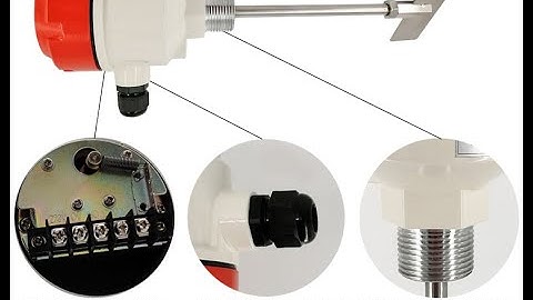 How the rotary paddle level switch work