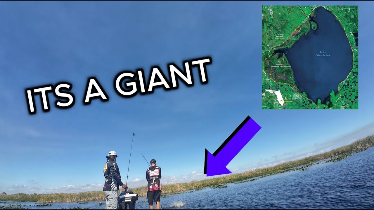 Catching Big Bass on Lake Okeechobee – Major League Fishing BFL