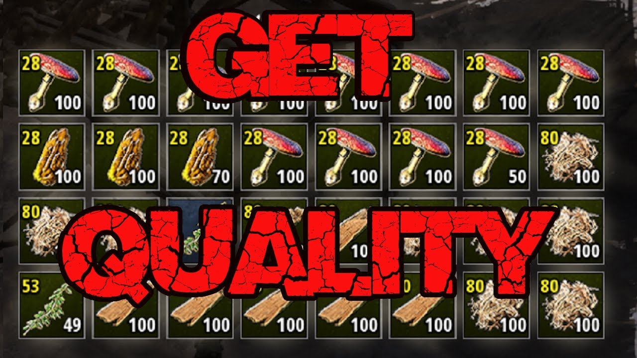 Basic Quality Guide: Last Oasis