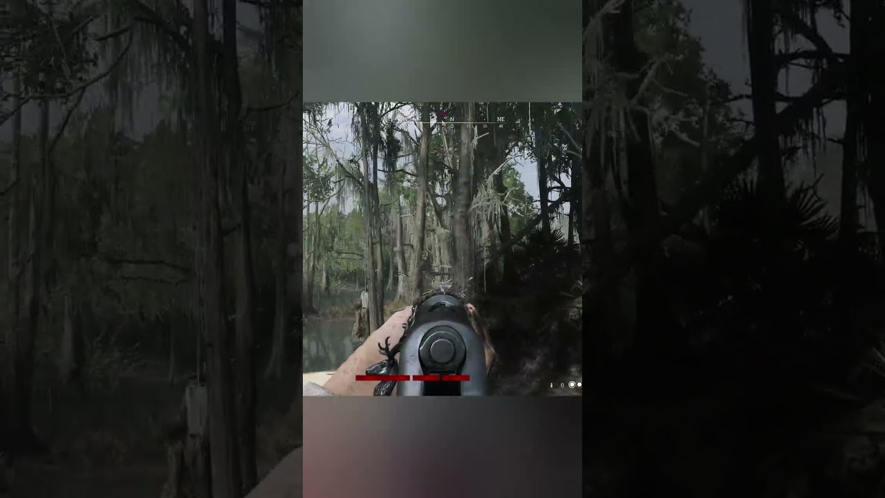 Teamwork HUNT SHOWDOWN 