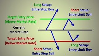 How to Start Trading | Types of Orders forex market - YouTube