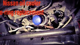 Nissan oil cooler o ring replacement
