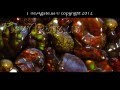 The World of FIRE AGATE - episode 1