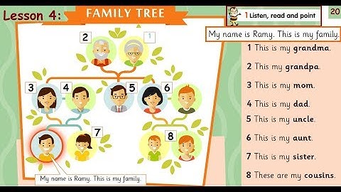 Connect Plus - Primary 1 - Unit 2 - Lessons 1-4