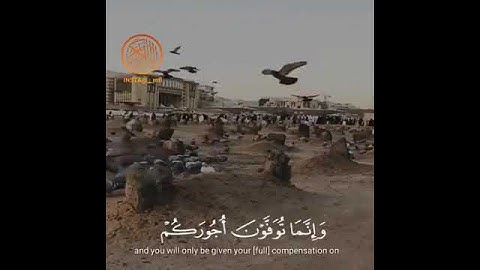 أرح سمعك تلاوة القرآن الكريم الشيخ أحمد العجمي حالات واتس اب اسلامية