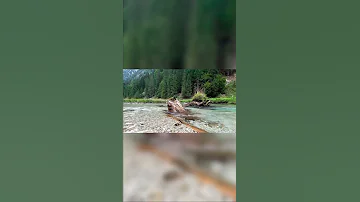 Water Stream Sound صوت خرير الماء Shorts 