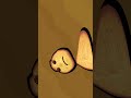 Cookie NOOoOo