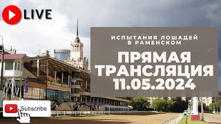 11.05.2024: Прямая трансляция из Раменского.