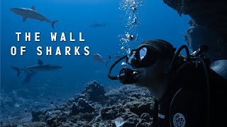 A Day in the Life - On Board a Sailboat and Diving the Wall of Sharks!
