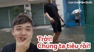 Phản Ứng Của Người Hàn Khi Gặp Bão Mạnh Ở Việt Nam 베트남현지 태풍 수해 상황