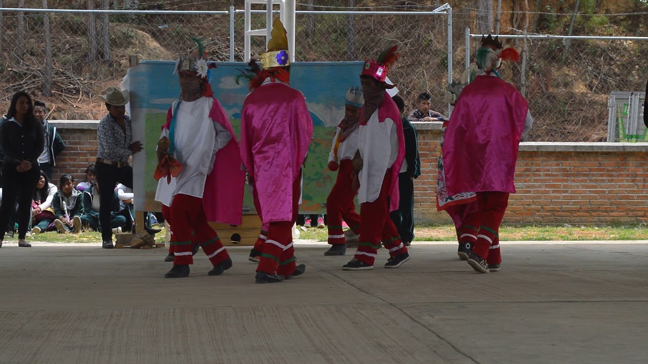 Tocotines - Telesecundaria Tepaxapa
