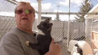 Humane Society Of BeaverHead County