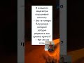 #смех #прикол #СЕМЕЙНЫЙ ХОР 👶🏻👶🏻👶🏻👶🏻👶🏻🧑🏻 #Shorts