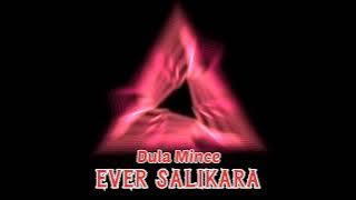 Dula Mince - Ever Salikara Ft Boorcay | Discotanah!!