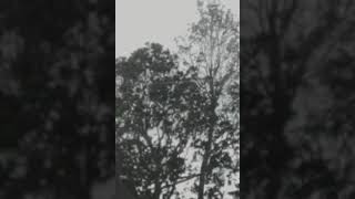 Warren G - What's Love Got To Do With It ft. Adina Howard (Remix)