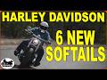 Riding 6 New 2025 Harley Davidson Softails in Texas Hill Country