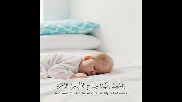 مقاطع قصيرة بصوت رعدالكردي - حالات واتس اب قران - ❤🎧 تلاوة تريح القلب