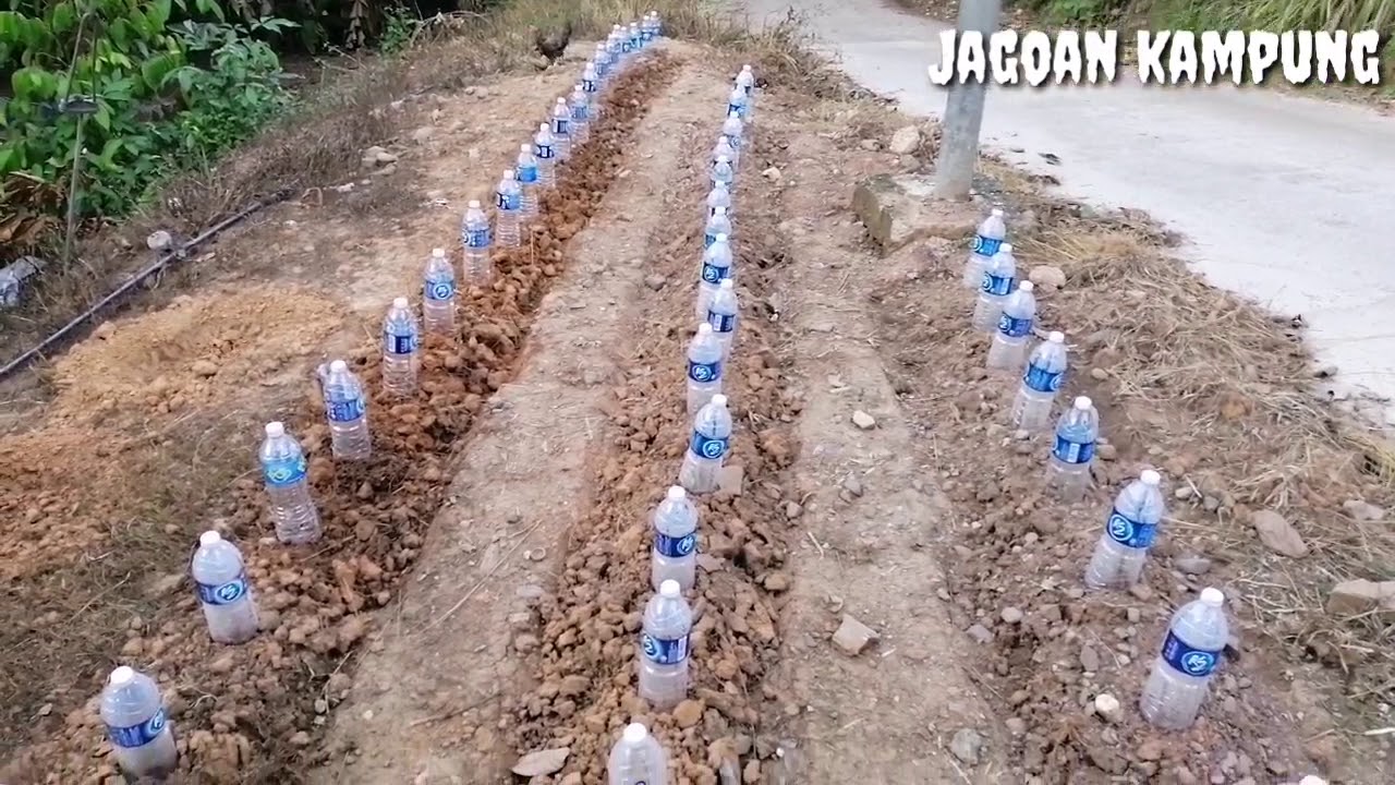 Manfaatkan tanah halaman rumah - YouTube