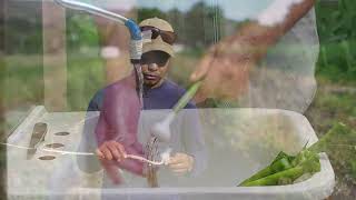 Best Crops For A Beginner SMALL Farmer  Least Effort