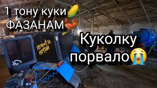 ❗️ТОРБА МТЗ 82.1 Вирвало навіску🚜. Фазани на фермі🐓