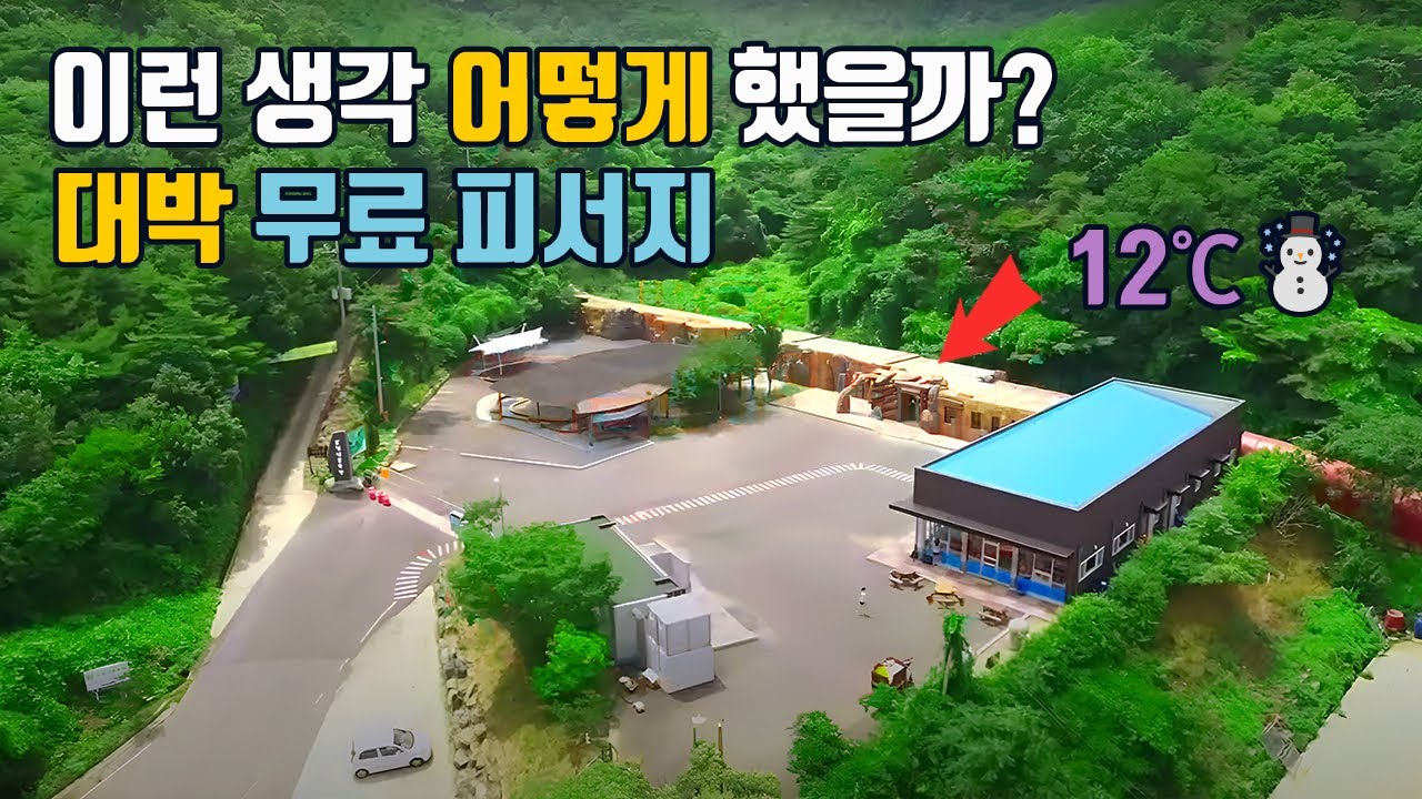 딱 2달만 개방, 정말 추워요!🥶걷는 내내 바닷바람과 그늘로 시원한 2Km 섬 둘레길🌴해질녂에 걷기 좋은 수변데크길